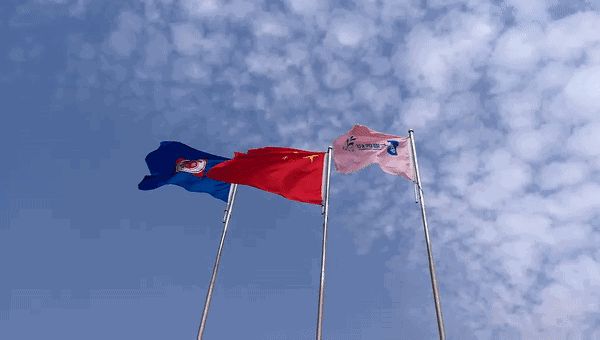 image001.gif image001.gif